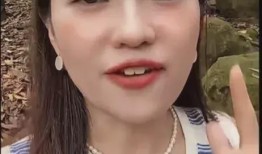 网友爆料大s出轨视频